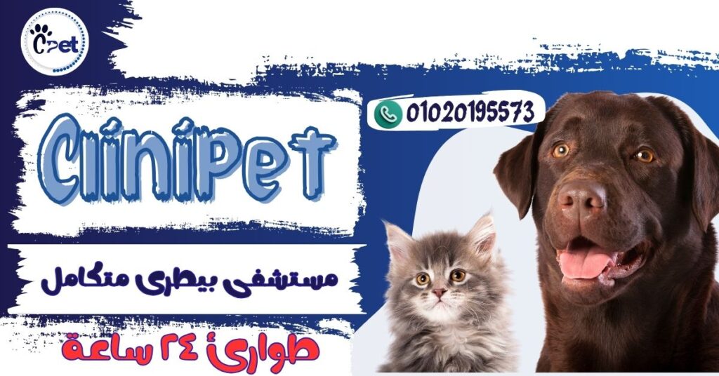 عيادة بيطرية زهراء مدينة نصر